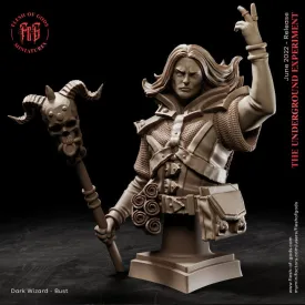 Dark Wizard - Bust